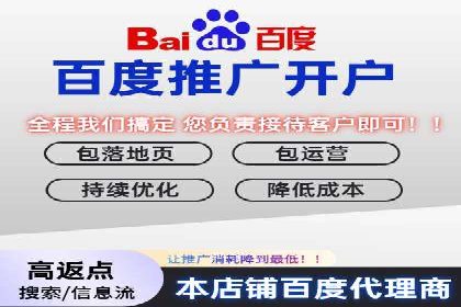 百度SEO推广公司经典之作：打造行业领先品牌